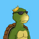 Turtle King Collection