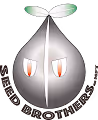 SEED BROTHERS.NFT WORLD