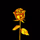 GoldenRose