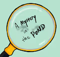 A Mystery in the Pond