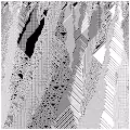 cellular automata 37