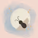 Little Bugs
