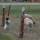Kids in the field