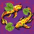 Crypto Koi Club