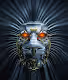 RobotCollettions