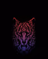 Wolf - SFDEUK4OMo