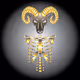 Hannie's Zodiacs