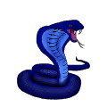 Dark Snakes