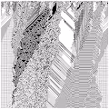 cellular automata 88