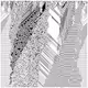 cellular automata 88