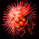 The Dragon Egg Collective