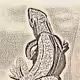 loopy lizard