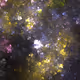 The Multiverse | Polygon
