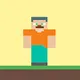 Minecraft steve collection