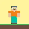 Minecraft steve collection
