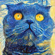 StarryCAT