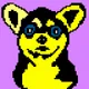 PXChihuahua