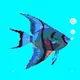 #1 Aquarium