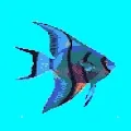 #1 Aquarium