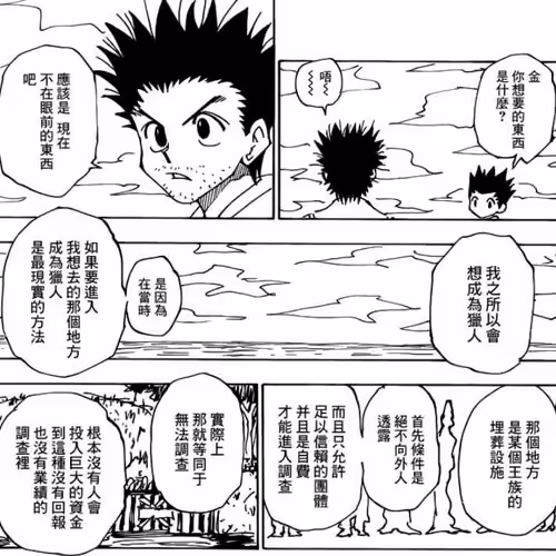 (hunterxhunter)
