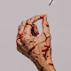 redblood Collection