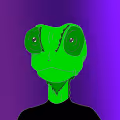 lizardcolor