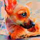 Our DOGS LOVE CRYPTO