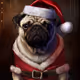 Pet Santa