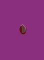 V EGG BY THE DOZEN