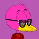 Sugarduck