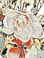Rose Rosely nft collection