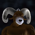 RAM 3D Embodiment (Limited Edition)