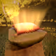 ROOR Pillows