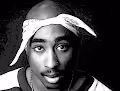 #1 Raps Finest