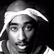 #1 Raps Finest