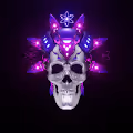SUPER SKULL COLLECTION