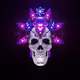 SUPER SKULL COLLECTION