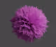 FurSphere