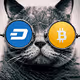 CryptocatsGems