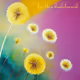 free like a dandelion seed