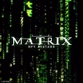 THE MATRIX  AVATARS