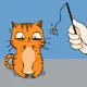 Excited cat