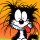 C Crazy cat's