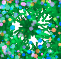 Nature at it's Best: Flowers