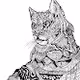 Cat Now Collection