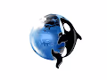 Coinshark