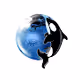 Coinshark
