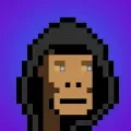 Anti Social Ape Society