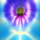Meta Cosmic Flowers