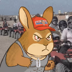 262